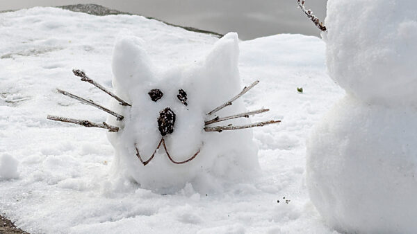 cntv-New Snow Figures