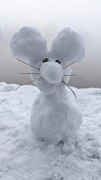 cntv-New Snow Figures