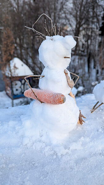 cntv-New Snow Figures