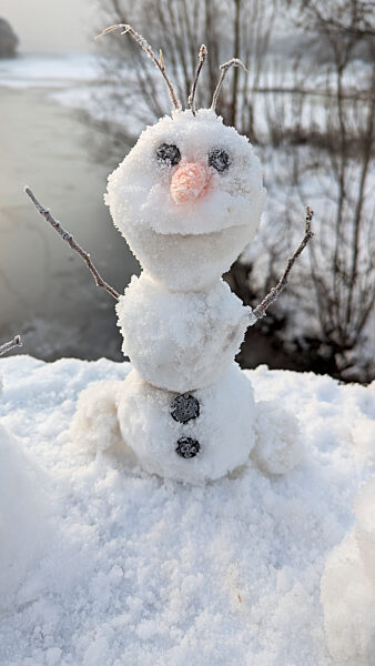 cntv-New Snow Figures