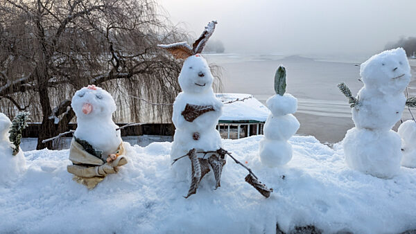 cntv-New Snow Figures