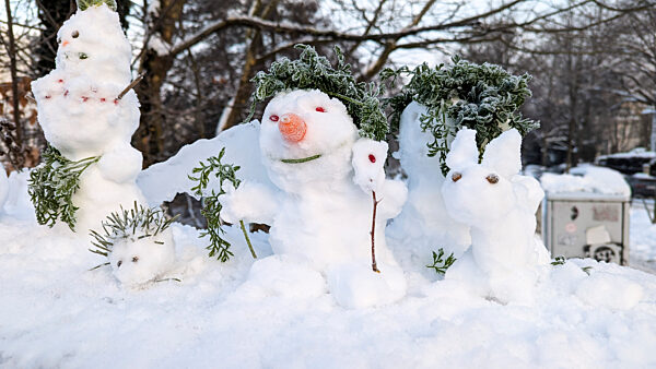 cntv-New Snow Figures