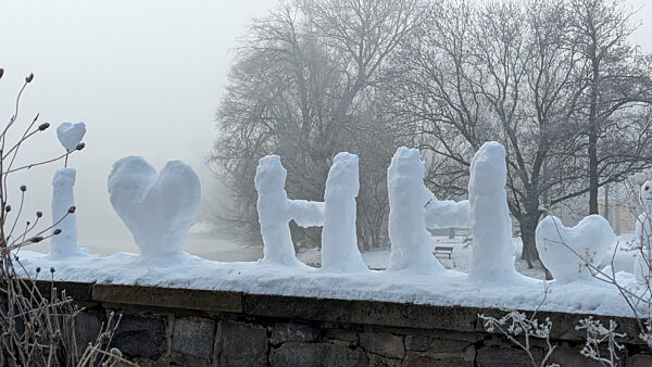 cntv-New Snow Figures