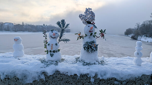 cntv-New Snow Figures