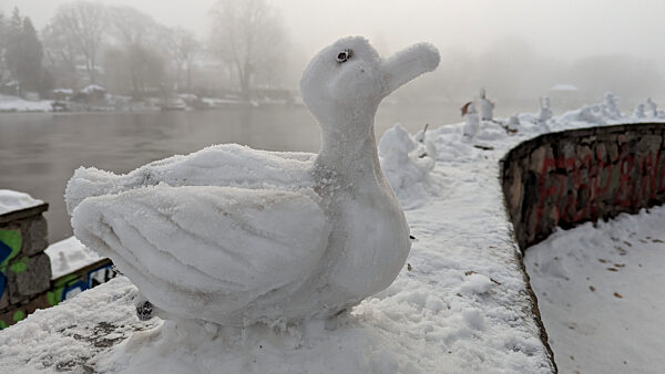 cntv-New Snow Figures