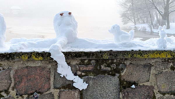 cntv-New Snow Figures