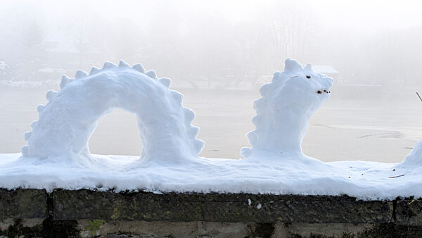 cntv-New Snow Figures