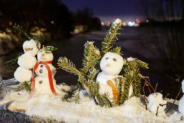 cntv-New Snow Figures