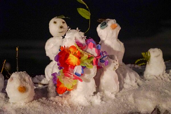 cntv-New Snow Figures