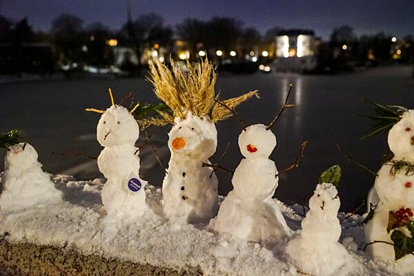 cntv-New Snow Figures