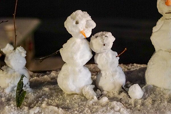 cntv-New Snow Figures