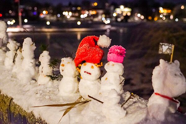 cntv-New Snow Figures