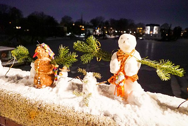 cntv-New Snow Figures