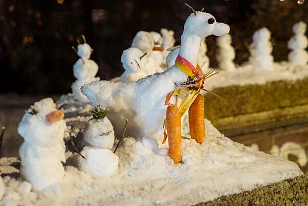 cntv-New Snow Figures