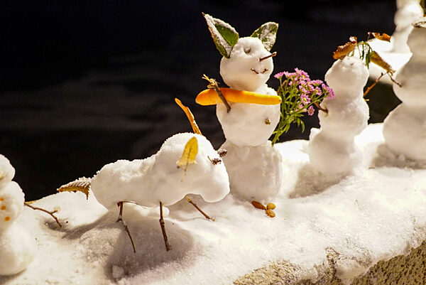 cntv-New Snow Figures