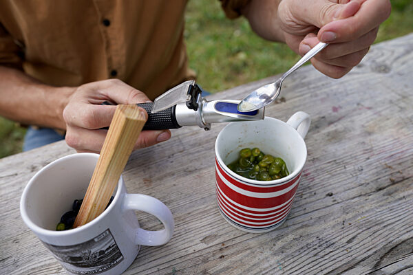 Weingut Gut Deutsch-Nienhof