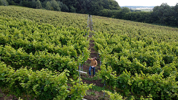 Weingut Gut Deutsch-Nienhof