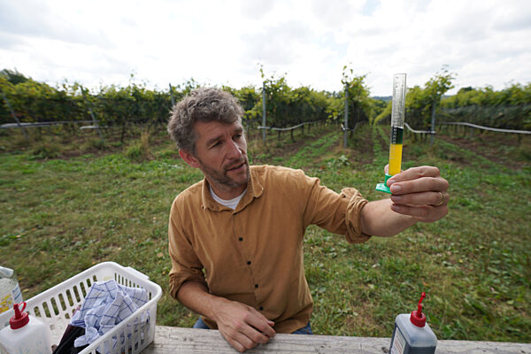 Weingut Gut Deutsch-Nienhof