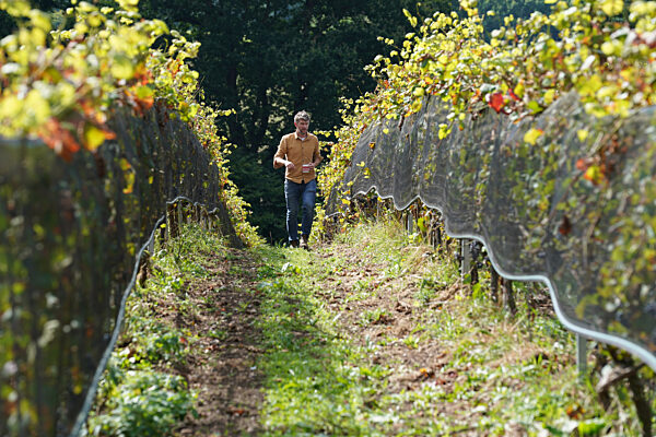 Weingut Gut Deutsch-Nienhof