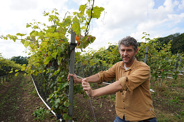 Weingut Gut Deutsch-Nienhof