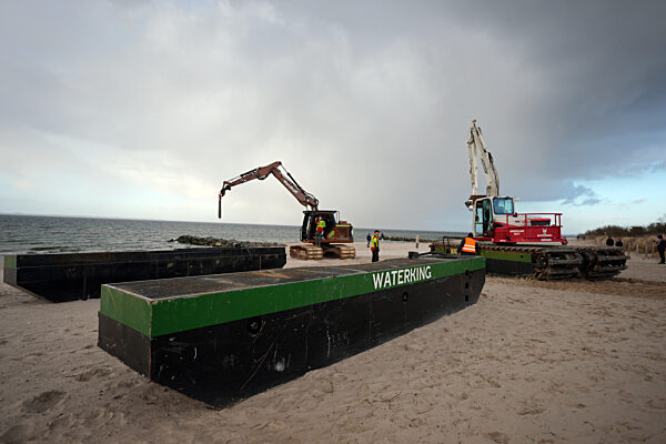 Wal an der Ostseeküste gestrandet