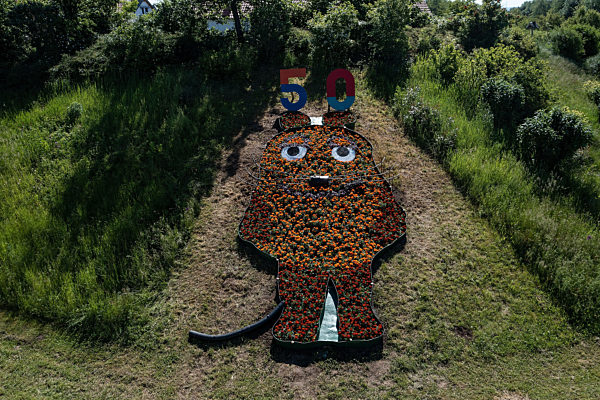 Lokal Hanau Eröffnung 50 Jahre die Maus Pflanzenbeet