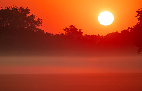Sonnenaufgang im Morgennebel