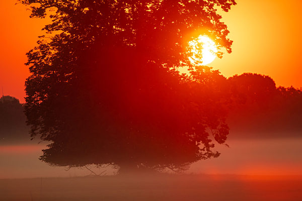 Sonnenaufgang im Morgennebel