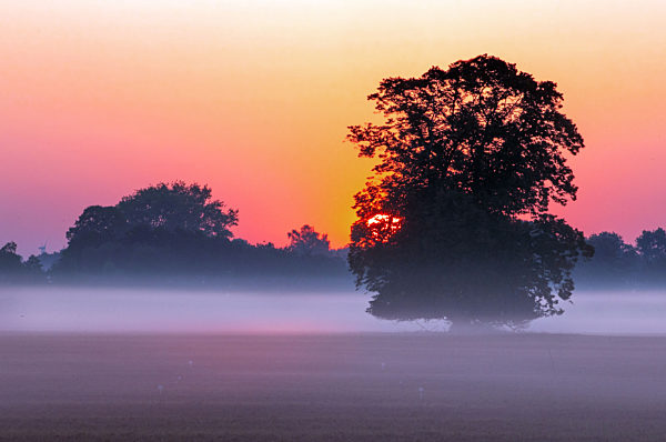 Sonnenaufgang im Morgennebel