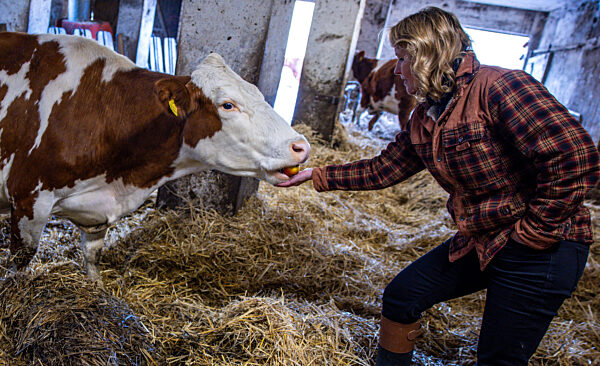 Bundesumweltministerin besucht Milchbetrieb