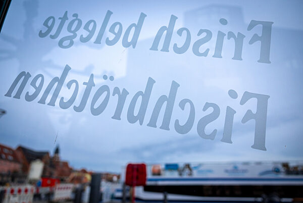 Winterliche Ruhe am Tor zur Müritz