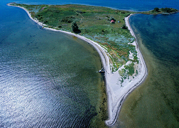 Ziegen ziehen auf Boot zur Insel Walfisch um