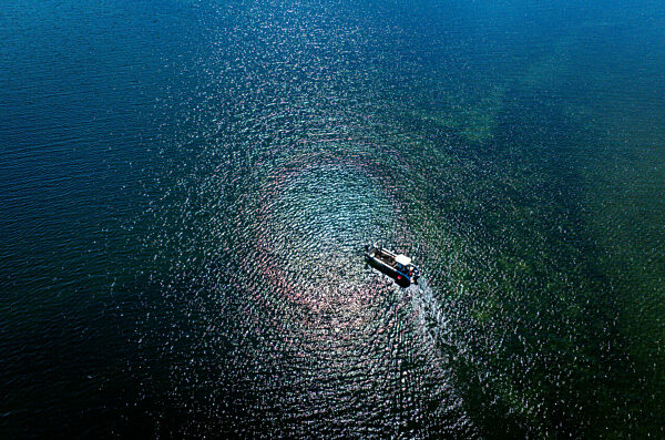 Ziegen ziehen auf Boot zur Insel Walfisch um