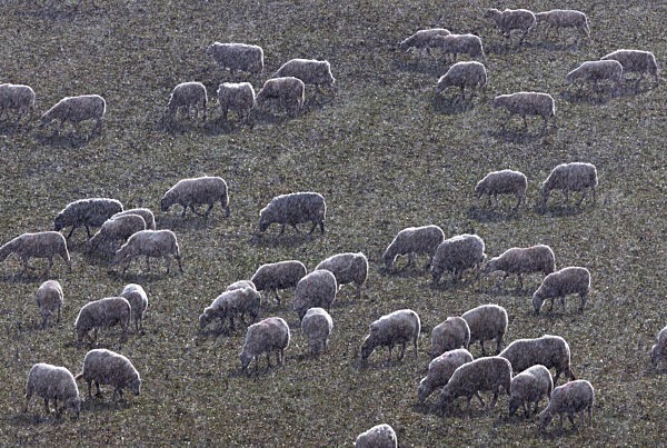 Wechselhaftes Wetter in Norddeutschland