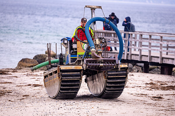 Wal an der Ostseeküste gestrandet