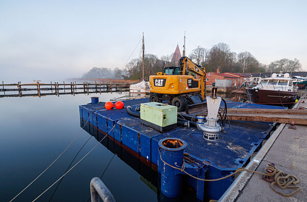 Rettungsaktion für den Buckelwal