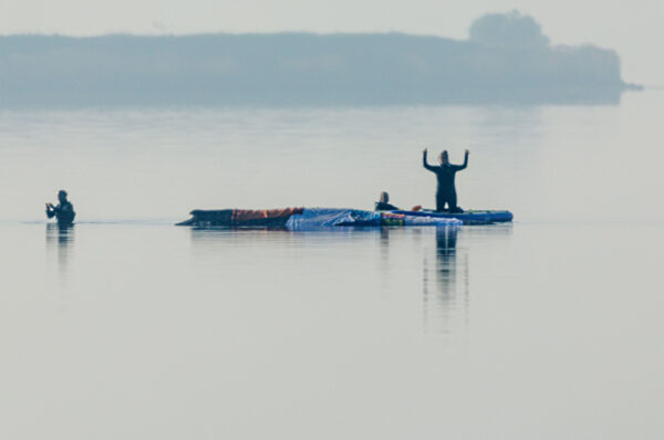 Rettungsaktion für den Buckelwal