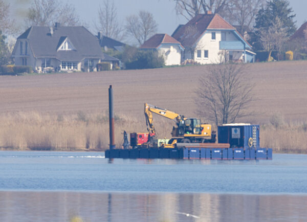 Rettungsaktion für den Buckelwal