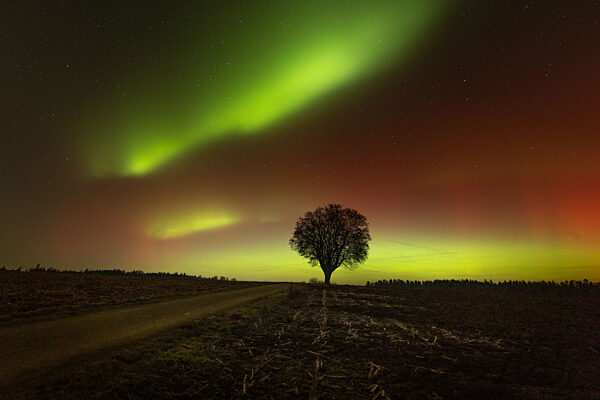 Polarlichter über Baden-Württemberg