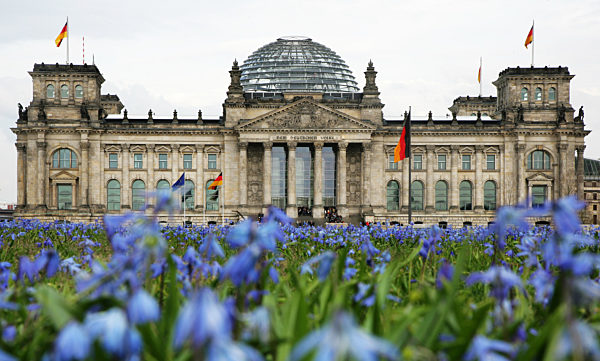 Blumenwiese vor Reichstag