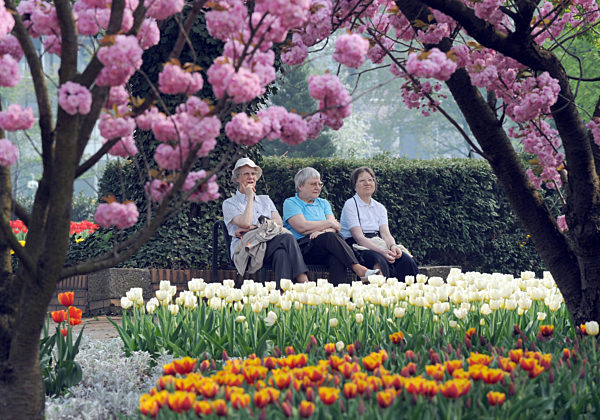 Sonnig und warm in Köln