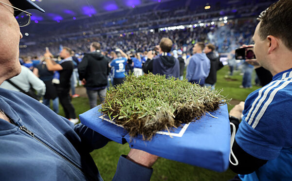 Hamburger SV - SSV Ulm 1846