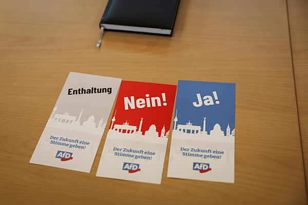 Landesparteitag der AfD Schleswig-Holstein