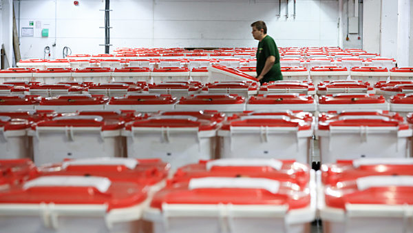 Wahlurnen zur Bundestagswahl