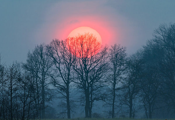 Brandenburger Sonnenuntergang