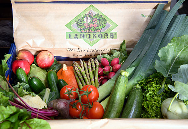 Frisches Gemüse im „Landkorb“