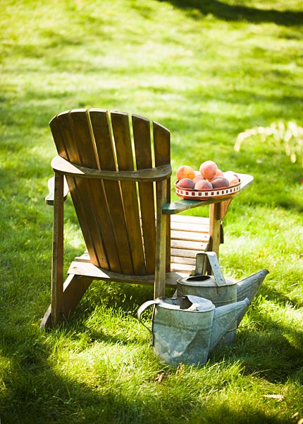 Wooden Adirondack Chair with Peaches on the Arm; Two Metal Watering Cans