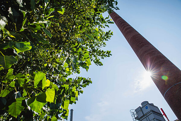 SCHOTT AG in Mainz - Nachhaltigkeit