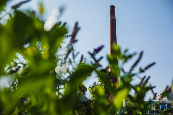 SCHOTT AG in Mainz - Nachhaltigkeit