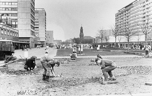 Dresden, historisch, Prager Straße. Pflanzarbeiten (Frühjahrsbestellung)...